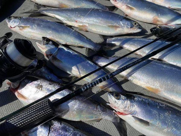 Fishing Rods for sale in Lake Stevens, Washington
