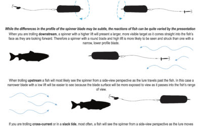 The Truth About 3.5 Spinners and Blades