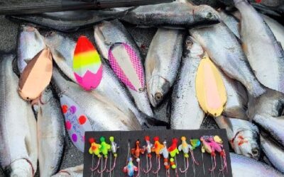 New Kokanee Lure, Twirlee-Gig, Surprises Anglers